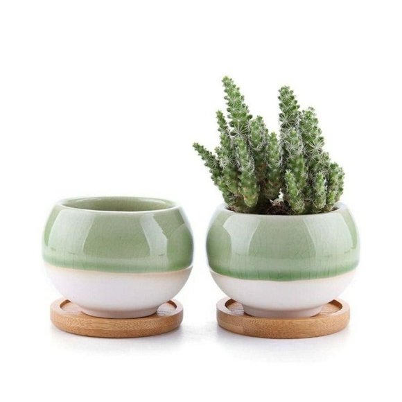 No brand / Not sure Other - T4U Suculent Cactus Pots